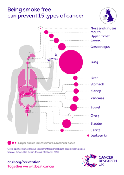 Waterpipe smoking may cause many forms of cancer afterall - News